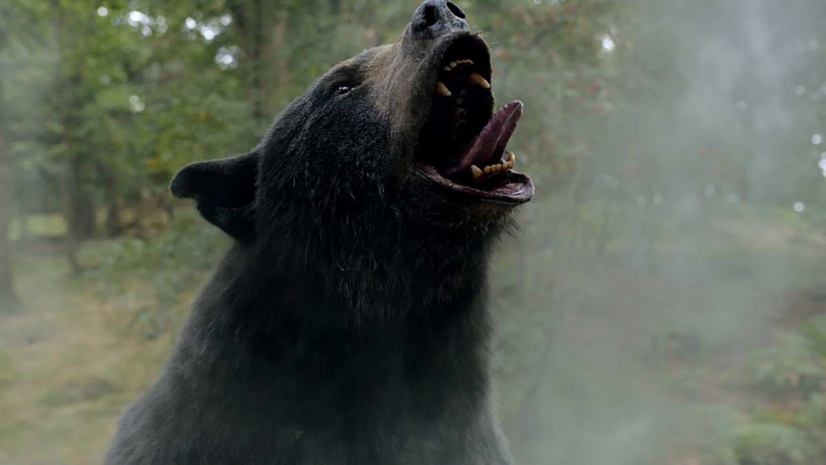 O urso do pó branco e outros cinco filmes de ursos ferozes para você  conferir! 