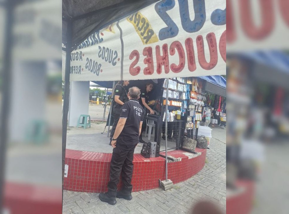 Os agentes recolheram aparelhos celulares, documentos e outras mídias. Todo material será estudado pela polícia. — Foto: Reprodução/TV Verdes Mares