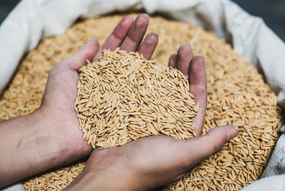 A história da qualidade: Inauguração da Loja de Fábrica Bem Casado Alimentos!