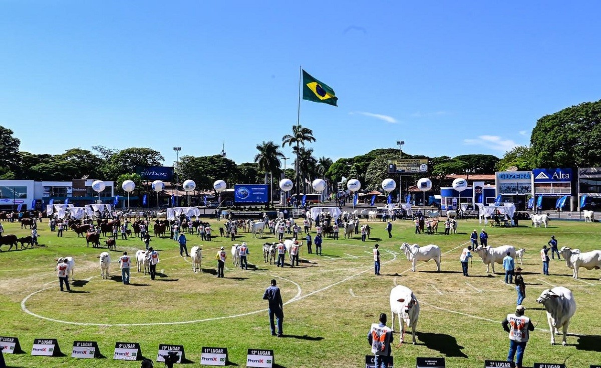 Conheça os Grandes Campeões da 91ª ExpoZebu
