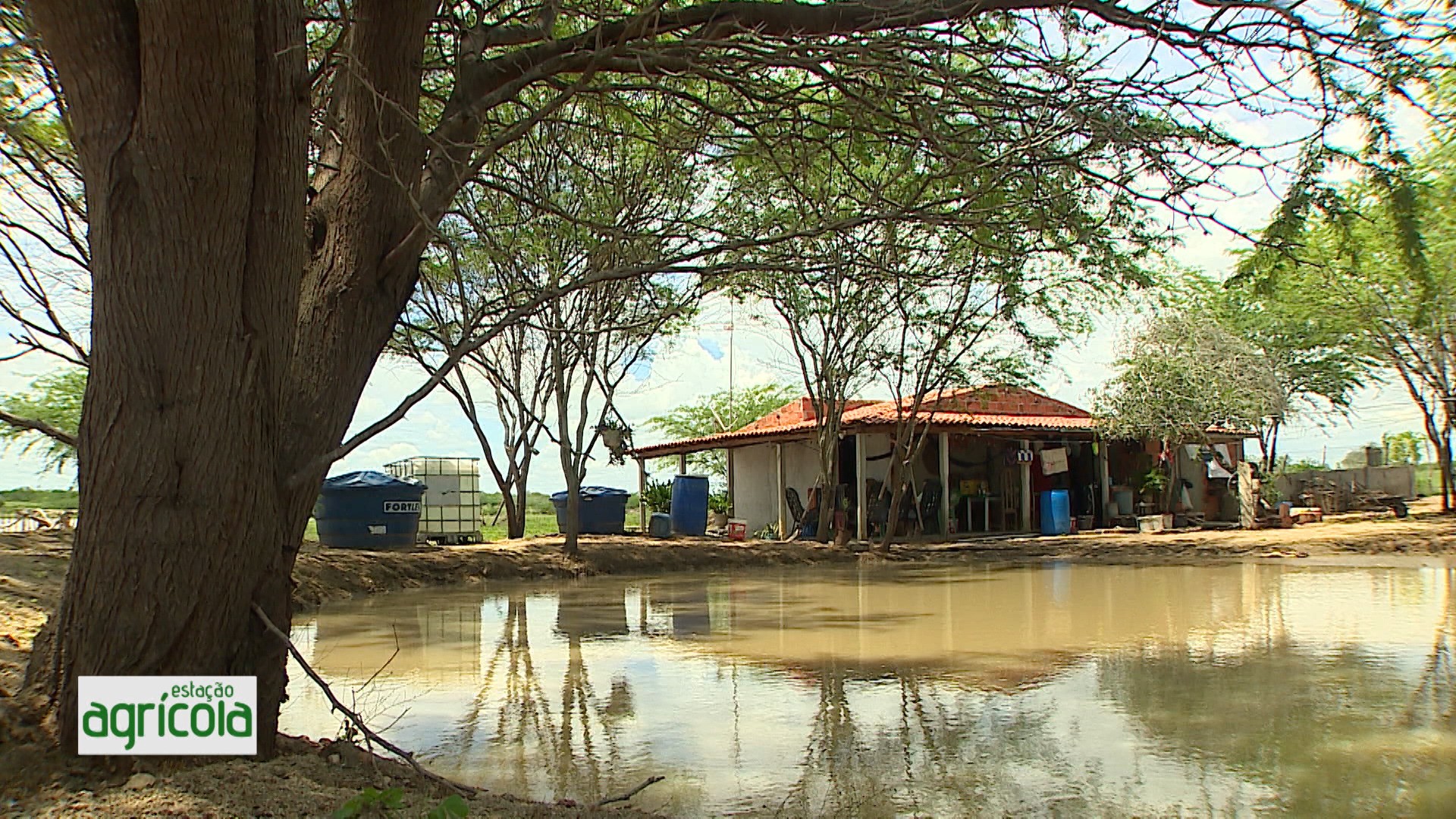 Reveja os destaques do Estação Agrícola
