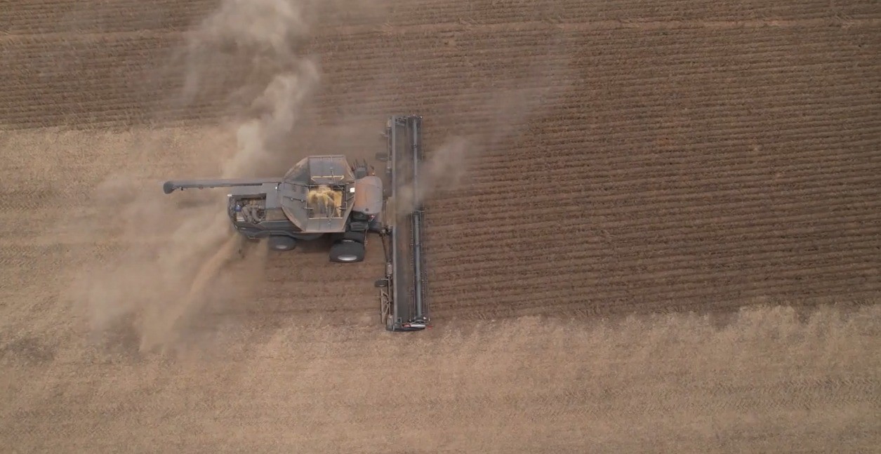 Você Não Tá Convidada pro Meu Bat Mitzvá!