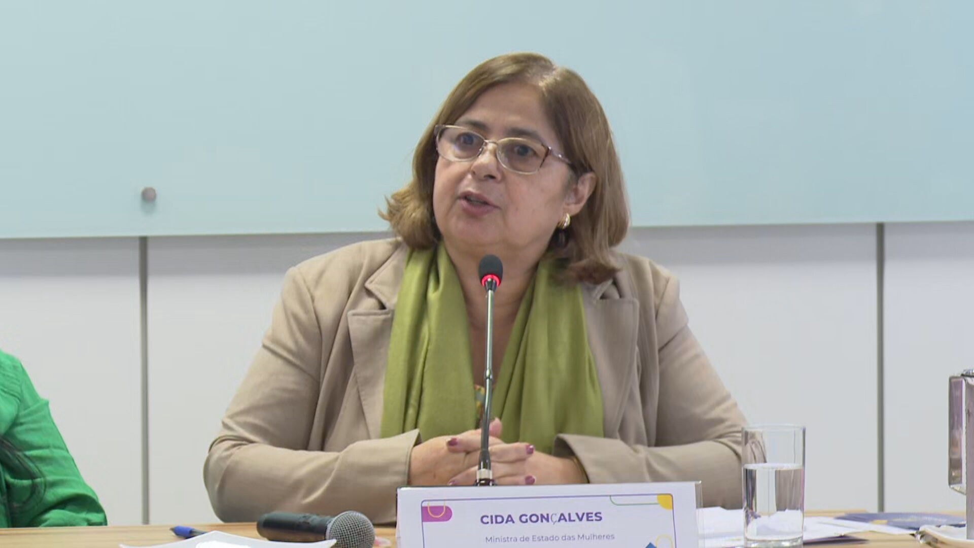 Ministra das Mulheres condena ataques a Janja e Gleisi: 'Dia vergonhoso, de retrocessos'