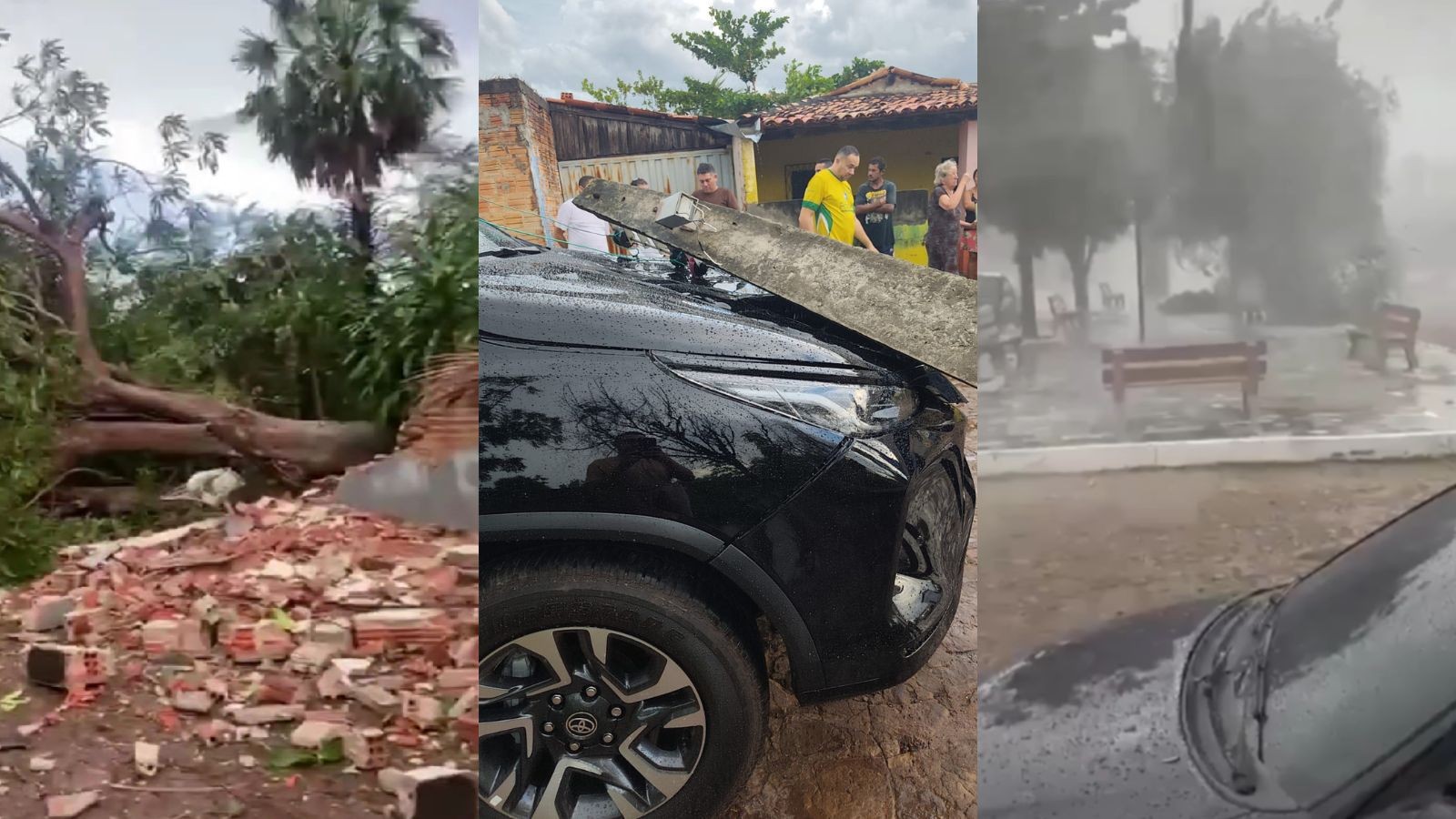 Microburst: microexplosão atmosférica derruba árvores, postes e causa prejuízos no PI; veja vídeo
