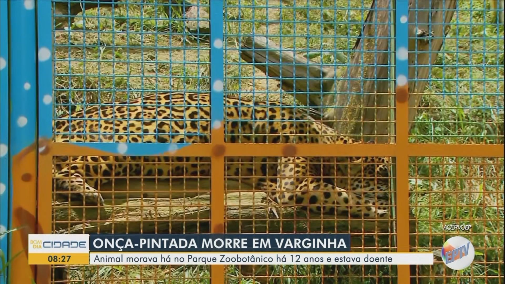 VÍDEOS: Bom Dia Cidade Sul de Minas de terça-feira, 10 de março de 2026