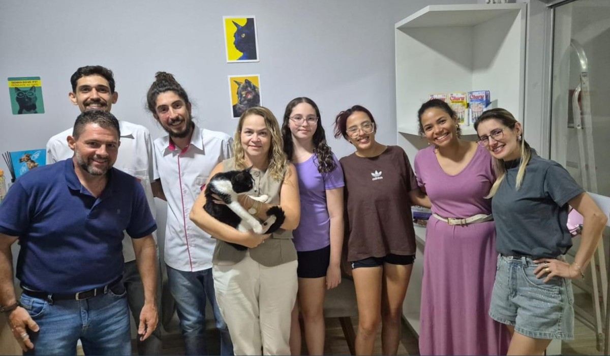 Gato desaparecido há quase 3 anos é reconhecido pelo 'bigodinho', reencontra família e emociona tutores no interior de SP