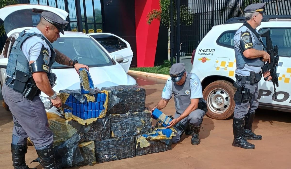 Jovem é preso com mais de 200 kg de maconha em rodovia de Palmital