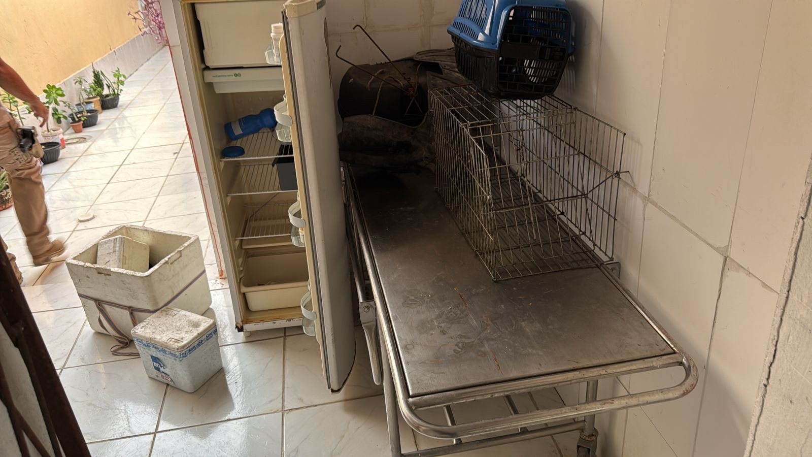 Operação Falso Vet: suspeitos de se passarem por veterinários e fazerem cirurgia em animais são presos em Teresina