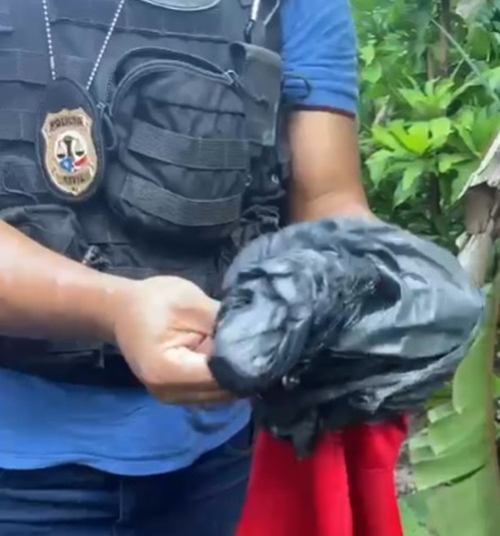 Arma usada no crime foi encontrada enterrada em um terreno em São Luís — Foto: Divulgação/Polícia Civil