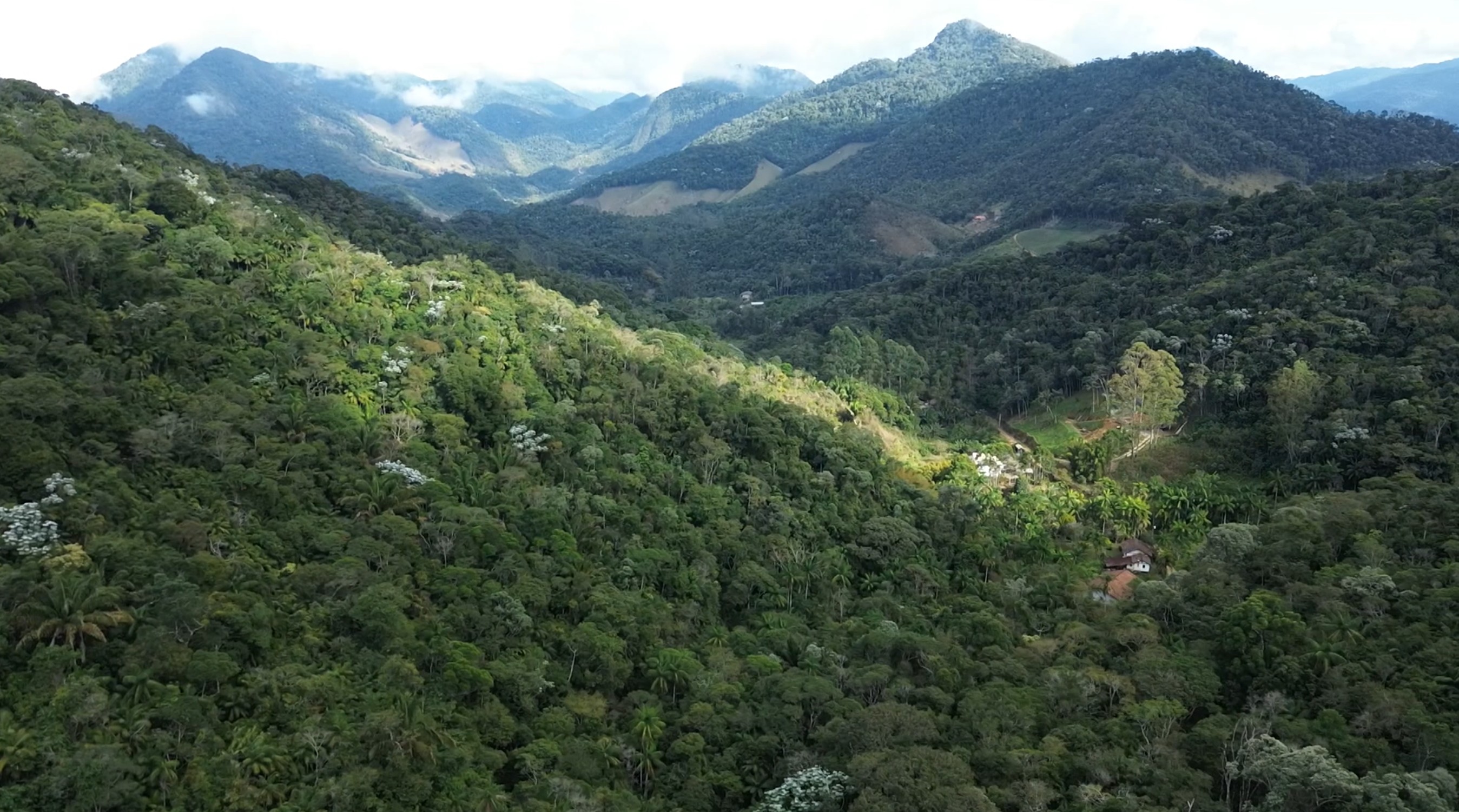 Conheça Lumiar (RJ), paraíso da Mata Atlântica com cerca de 230 espécies de aves e paisagens de tirar o fôlego