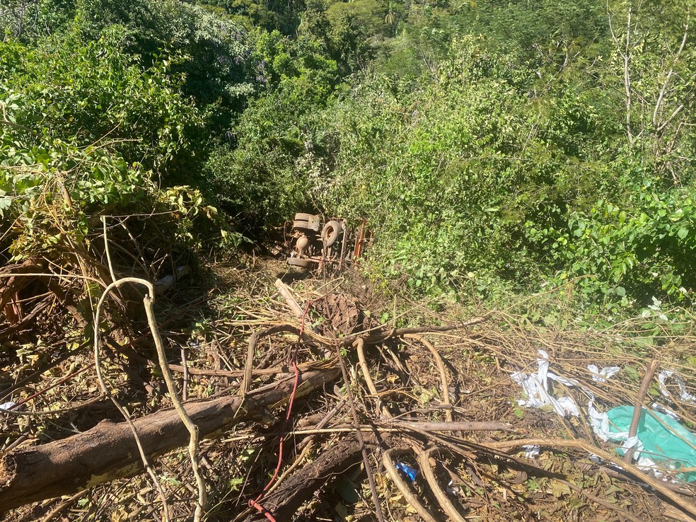 Caminhão caiu em precipício em curva de serra — Foto: Matheus Dias/TV Anhanguera