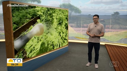 Veja o que será destaque no Jornal do Campo deste domingo (2)