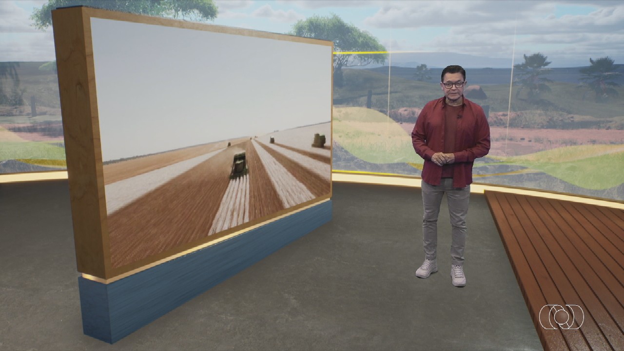 Você Não Tá Convidada pro Meu Bat Mitzvá!