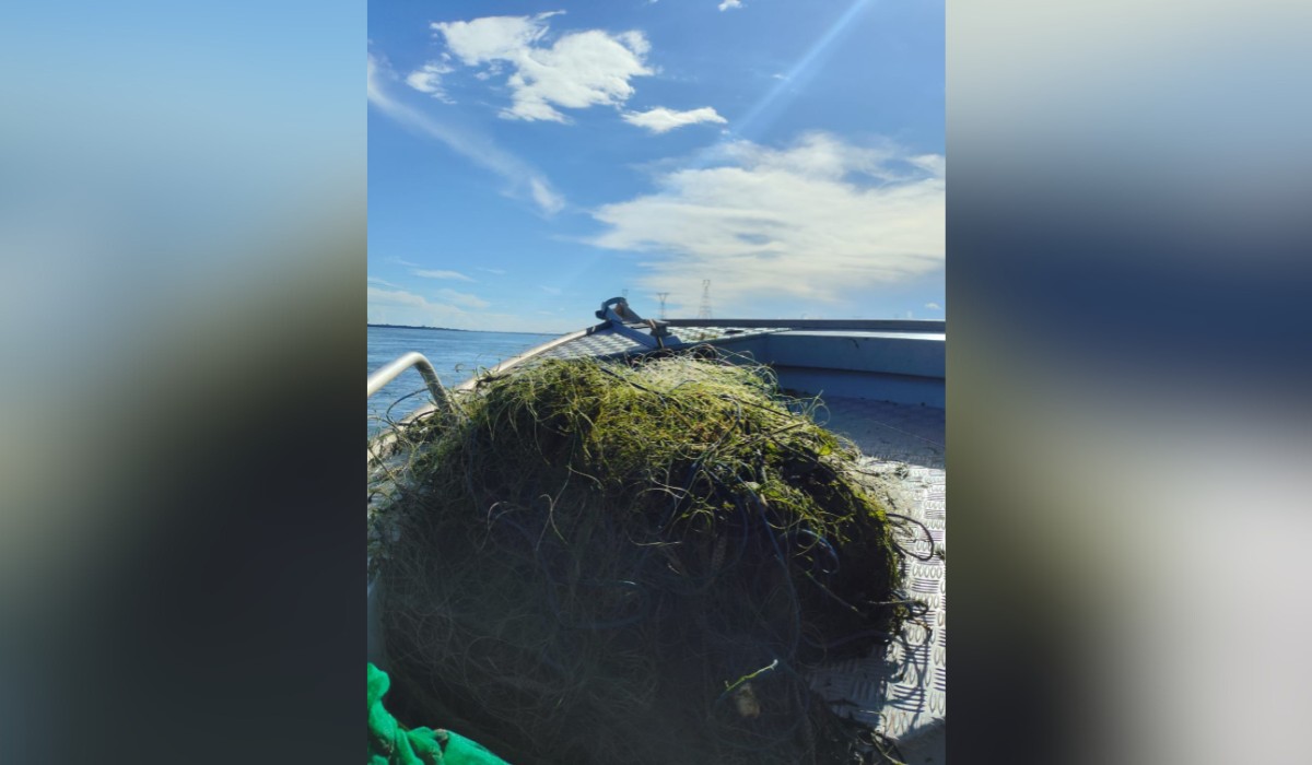 Polícia Ambiental apreende 450 metros de redes e devolve 40 kg de peixes a rio do interior de SP