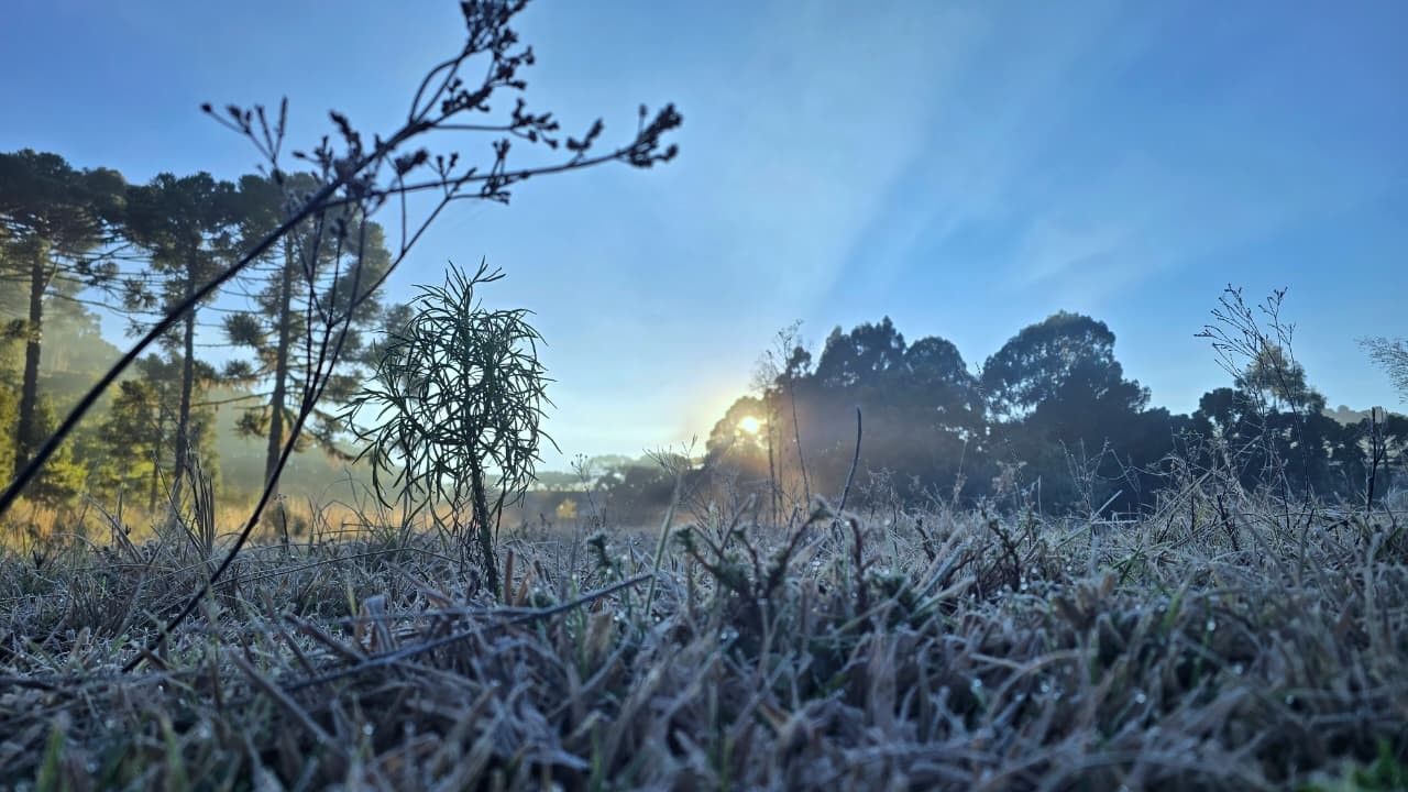 Frio abaixo de 0°C congela a paisagem e forma geada na Serra de SC