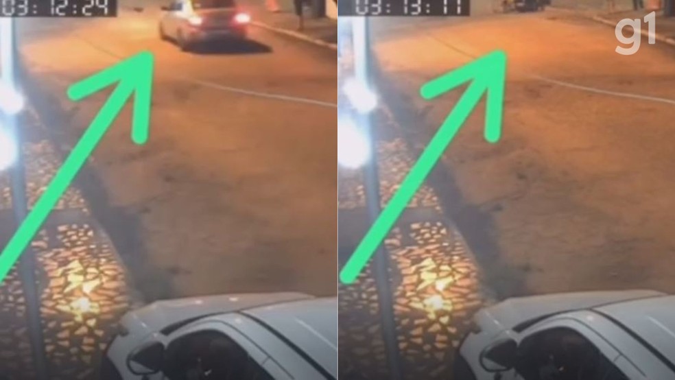 Homem atropela e mata cadela da fam&iacute;lia de ex-namorada no MA &mdash; Foto: Divulga&ccedil;&atilde;o/Redes Sociais