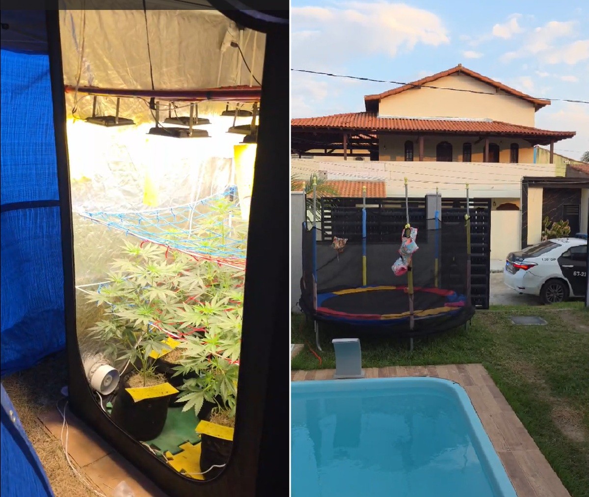 Estufa de maconha divide espaço de quintal com piscina e pula pula infantil em casa alvo de operação no RJ