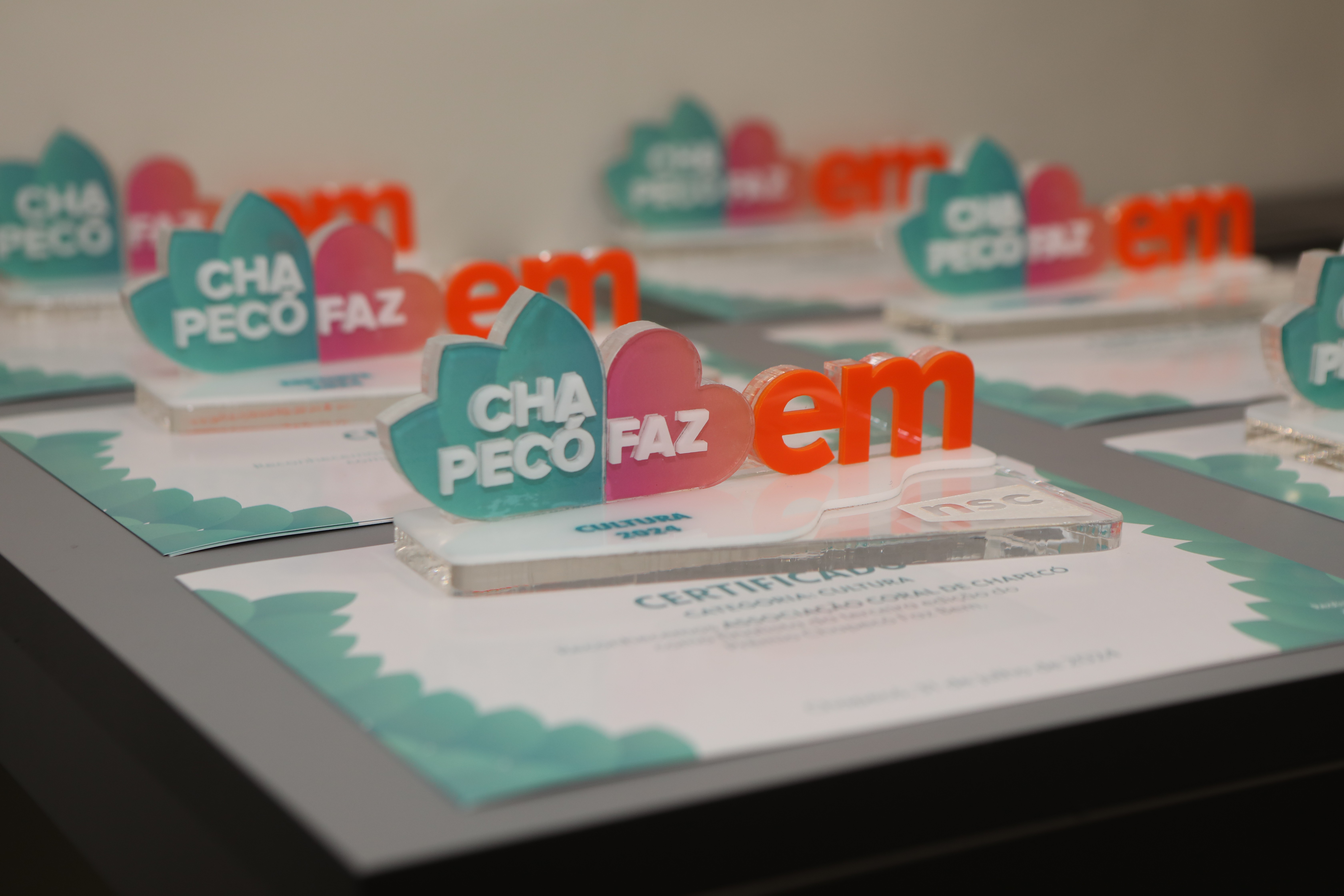 Chapecó Faz Bem 2025: conheça as categorias e indique quem faz a diferença na cidade