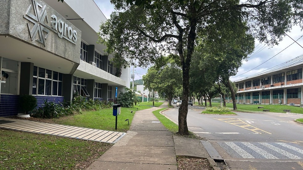 Universitária foi atropelada na porta da sede do Agros, na UFV; ela foi socorrida, mas morreu no dia seguinte — Foto: Nathália Fontes/g1