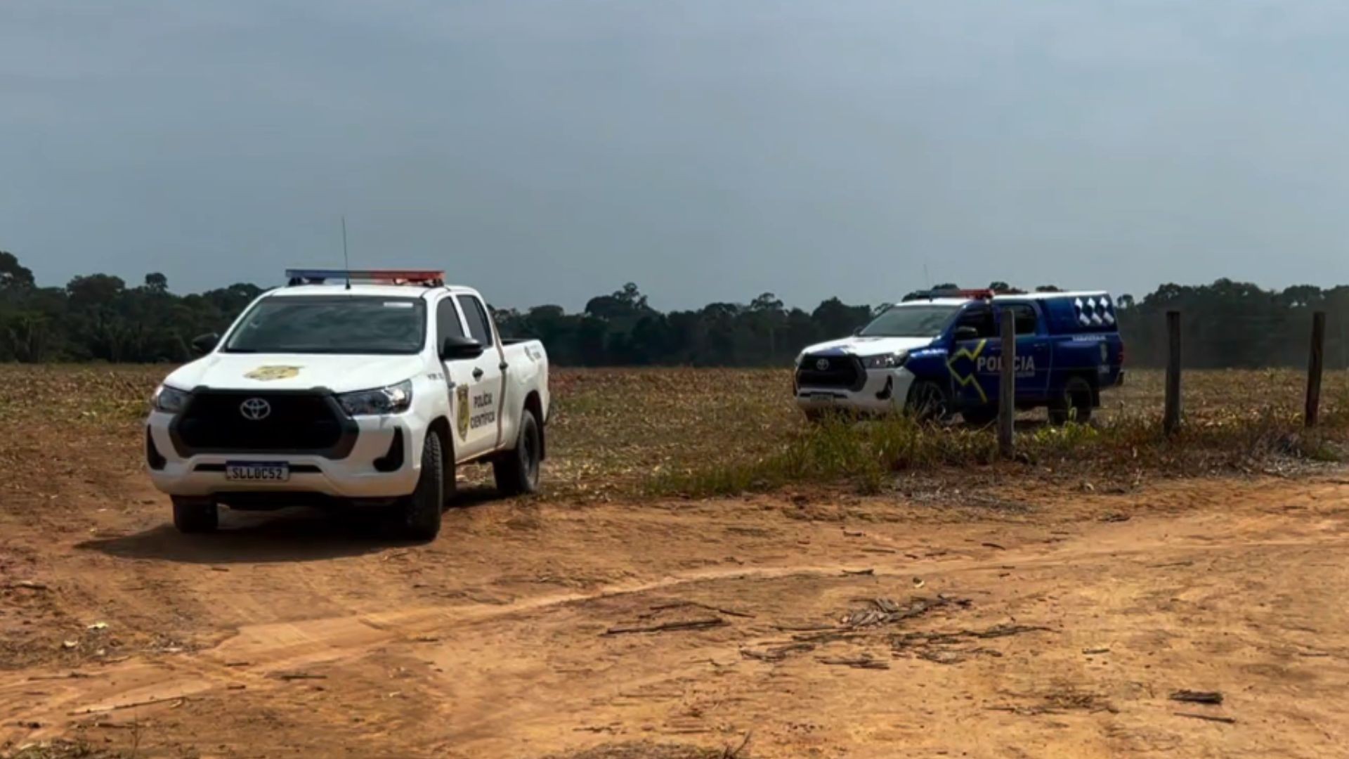 Homem sai para colher castanhas e encontra ossos humanos em Ariquemes, RO