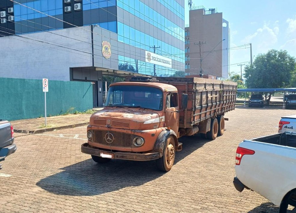Caminhão carregado com toras de madeira foi apreendido durante operação da PF — Foto: Willian Alves/TV Anhanguera