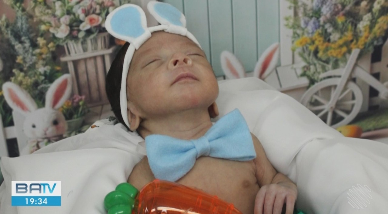 Com Orelhas de Coelhins, Recém-Nascidos Ganham Sessão de Fotos da Páscoa Em Hospitais na Bahia