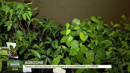 VÍDEOS: JL2 de sábado, 15 de novembro