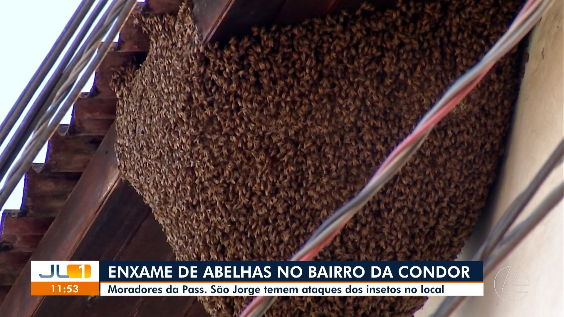 VÍDEOS: JL1 de segunda-feira, 8 de junho de 2026