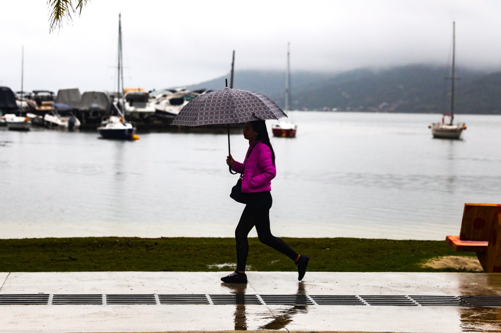 Florianópolis deve registrar em 1 dia volume de chuva maior que a média para novembro inteiro