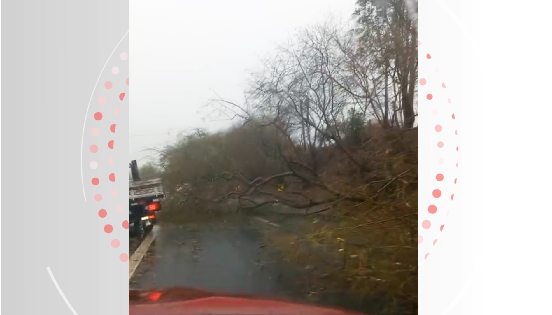 Você Não Tá Convidada pro Meu Bat Mitzvá!