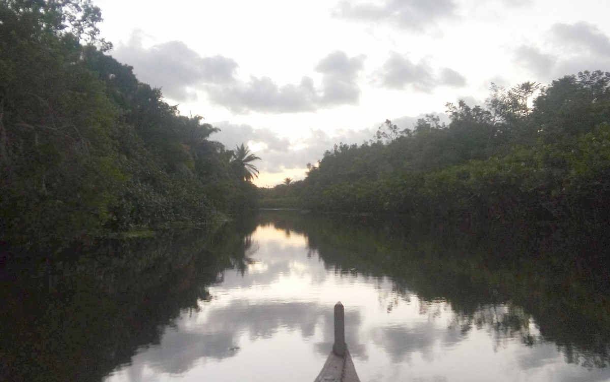 Rio da Usina