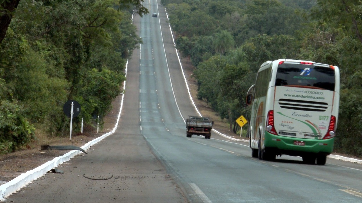Homem morre após motorista perder o controle de veículo e sair de rodovia em MS