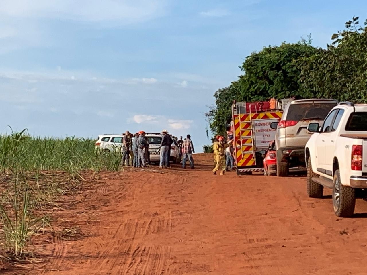 Mulher vítima de ataque de abelhas durante coleta de frutas é encontrada morta em mata após passar três dias desaparecida