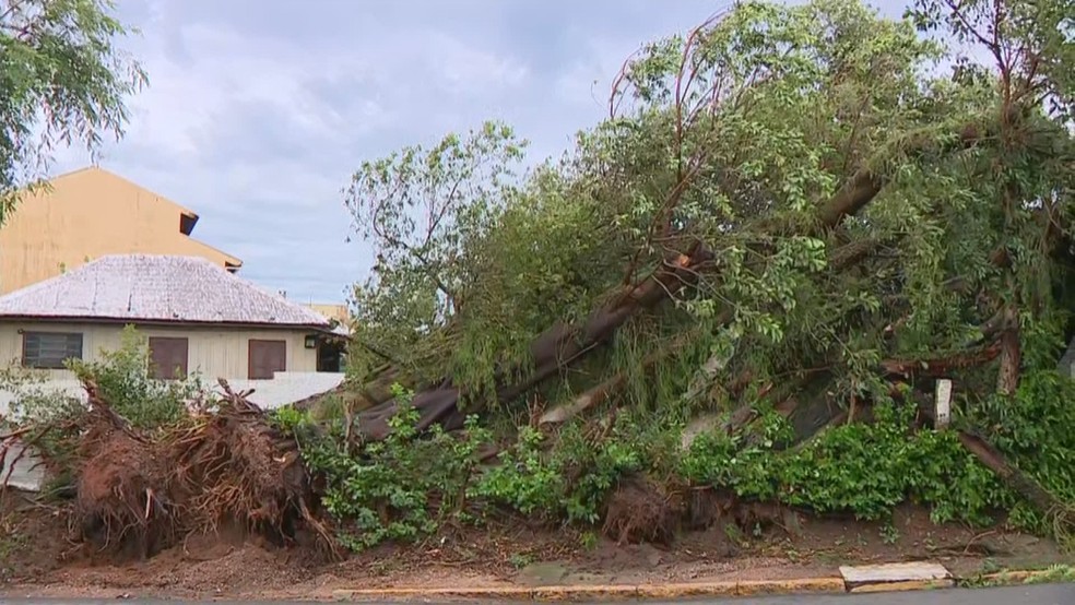 Temporal causou estragos em Canoas — Foto: RBS TV/Reprodução