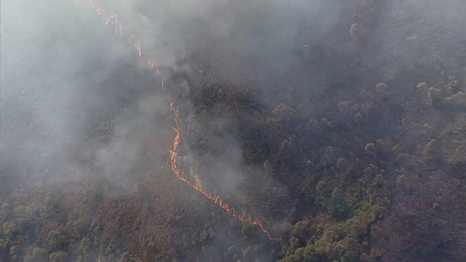 Incêndio atinge Parque Nacional da Serra do Gandarela, na Grande BH, e mobiliza bombeiros e brigadistas