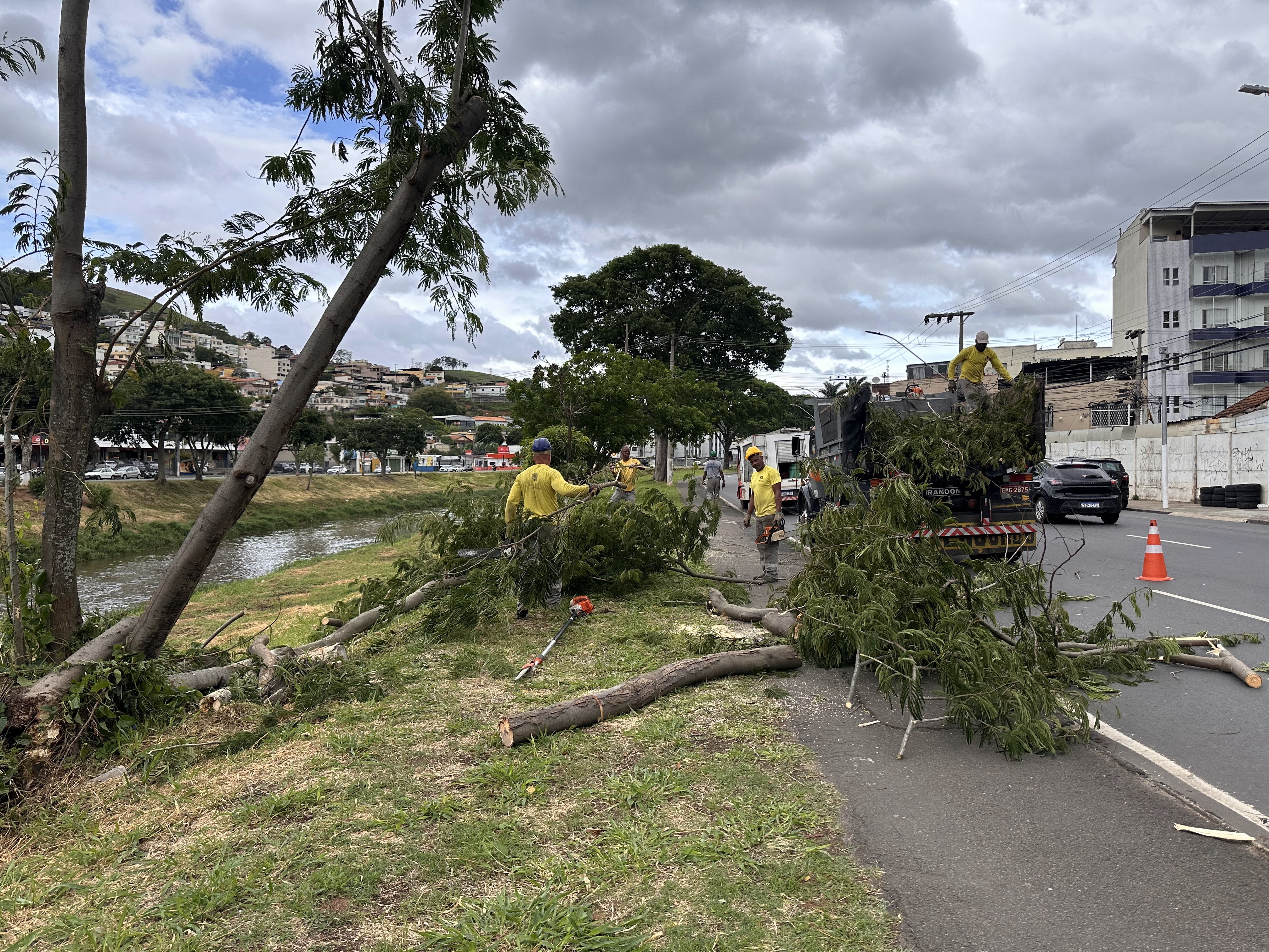 Sob efeito de ciclone extratropical, Juiz de Fora tem vendaval de 70km/h e queda de árvores