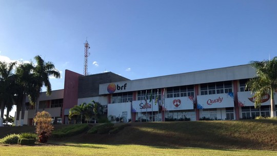 BRF abate 74 mil galinhas de forma preventiva para evitar risco de gripe aviária, em Goiás - Em nota, a empresa disse que medida incluiu apenas as aves de uma propriedade que estava no raio de vigilância do foco. Caso de gripe aviária foi confirmado em Santo Antônio da Barra na sexta-feira (13).
