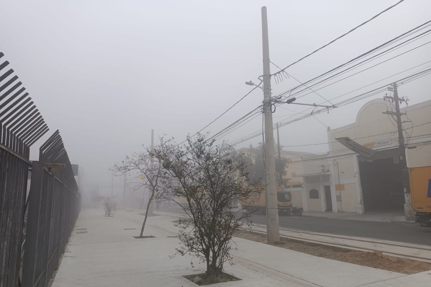 Neblina paralisa travessias de balsas no litoral de SP e suspende navegação no maior porto do hemisfério sul; VÍDEO