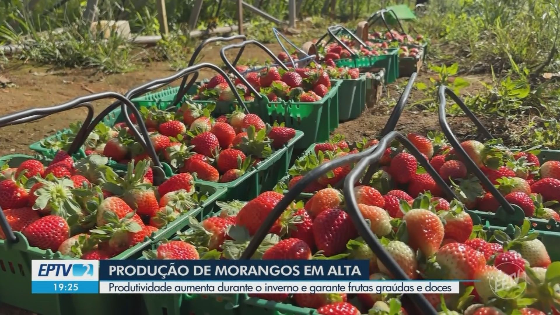 VÍDEOS: EPTV 2 Sul de Minas de segunda-feira, 6 de julho de 2026