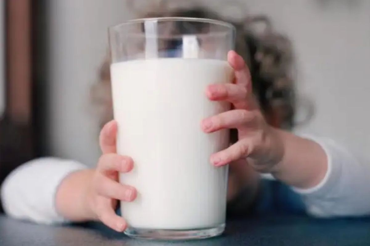 A cidade que irá distribuir leite e derivados para mais de 120 mil alunos, idosos e famílias