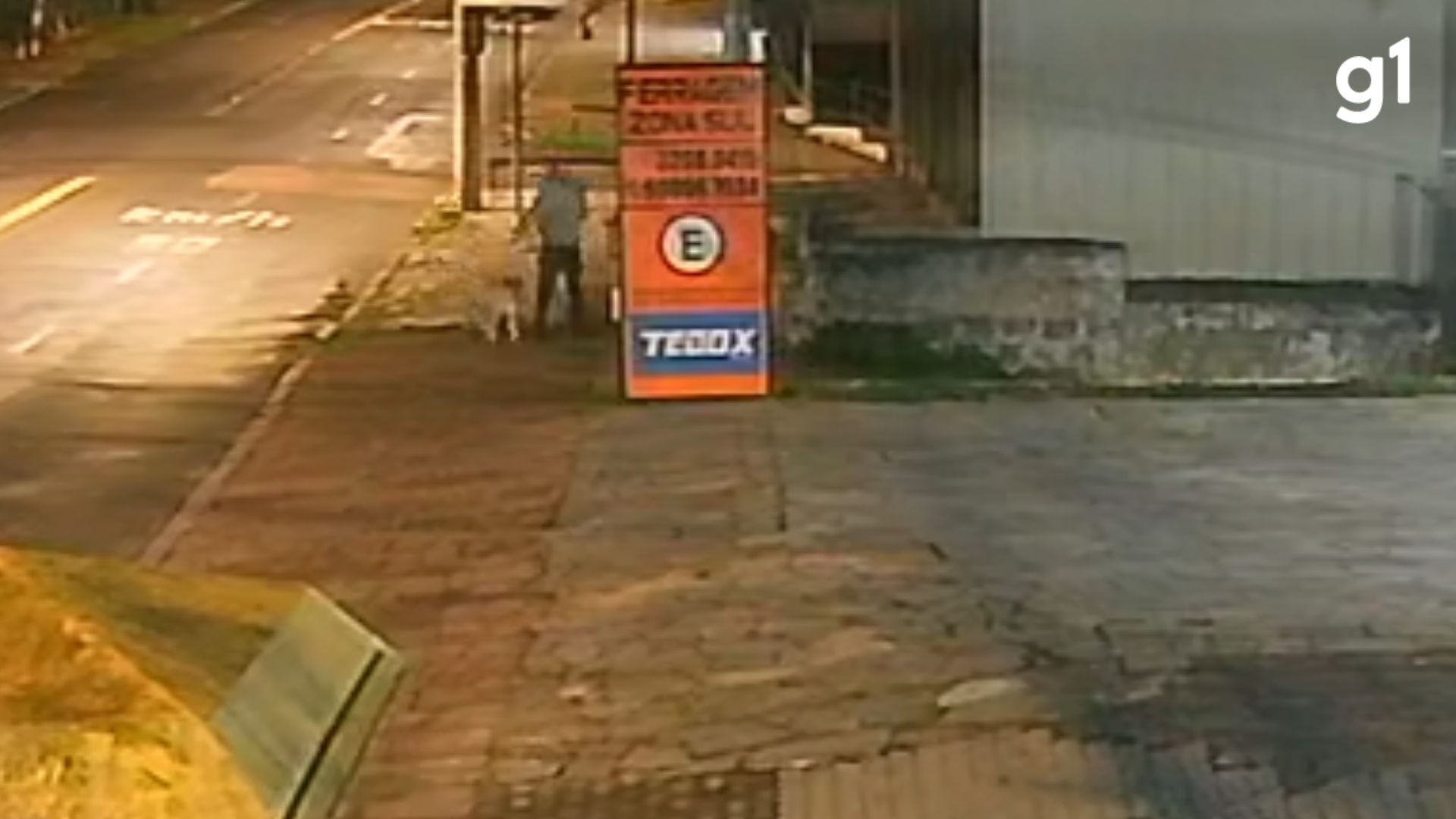 VÍDEO: Homem abandona cachorro em frente a creche de animais em Porto Alegre