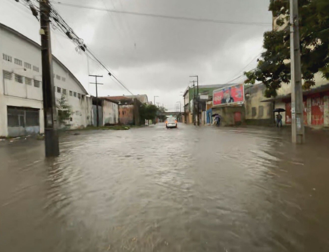 Justiça condena prefeitura do Recife a indenizar em R$ 21,9 mil proprietária de carro atingido por galho em dia de chuva