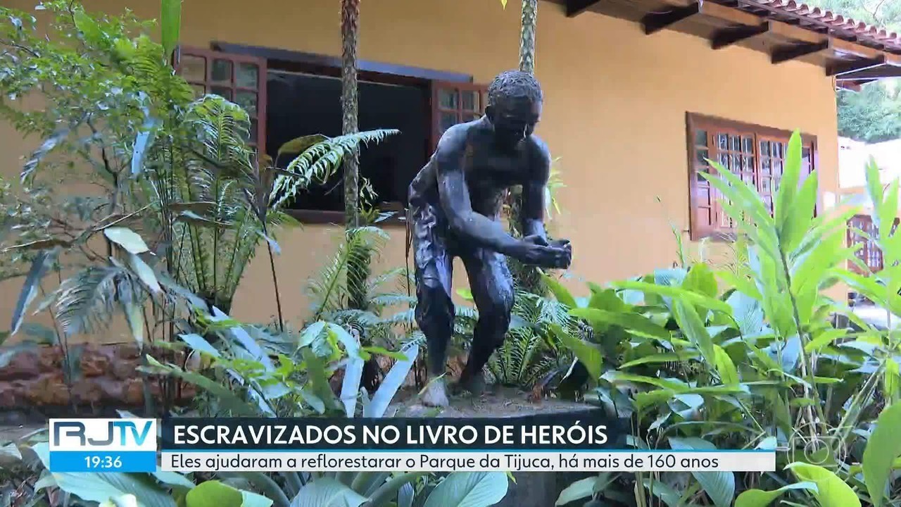 Escravizados que reflorestaram a Floresta da Tijuca têm nomes inclusos no Livro dos Heróis e Heroínas do Estado do RJ