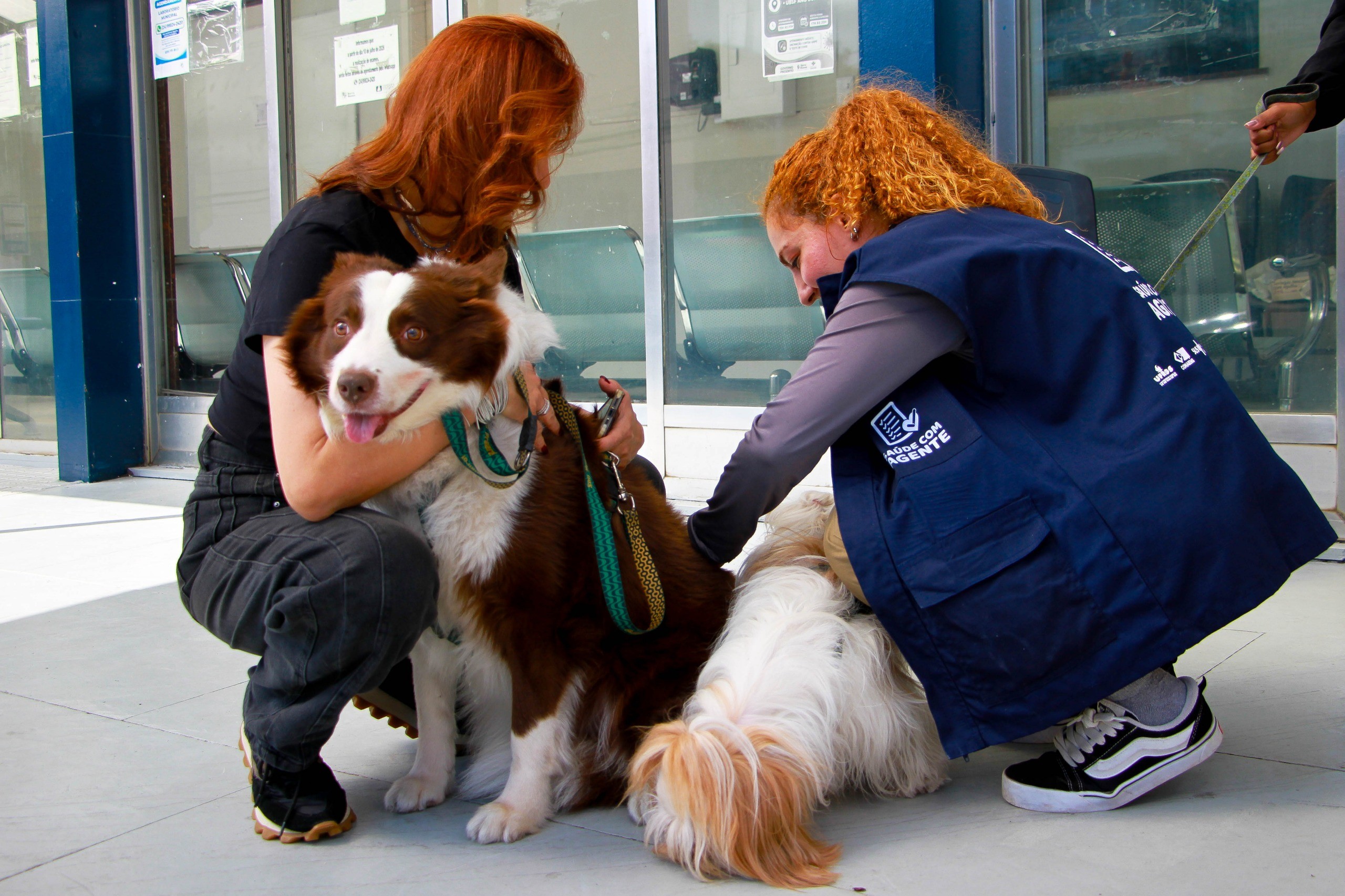 Barra Mansa inicia vacinação antirrábica para cães e gatos