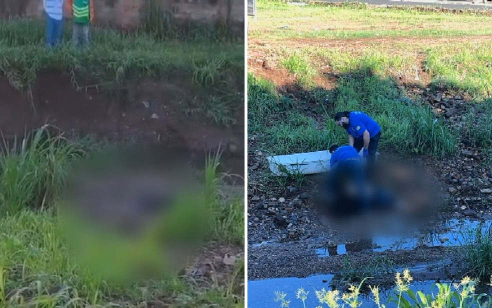 Adolescente e homem com pés e mãos amarrados são executados em Mineiros, Goiás — Foto: Reprodução/TV Anhanguera