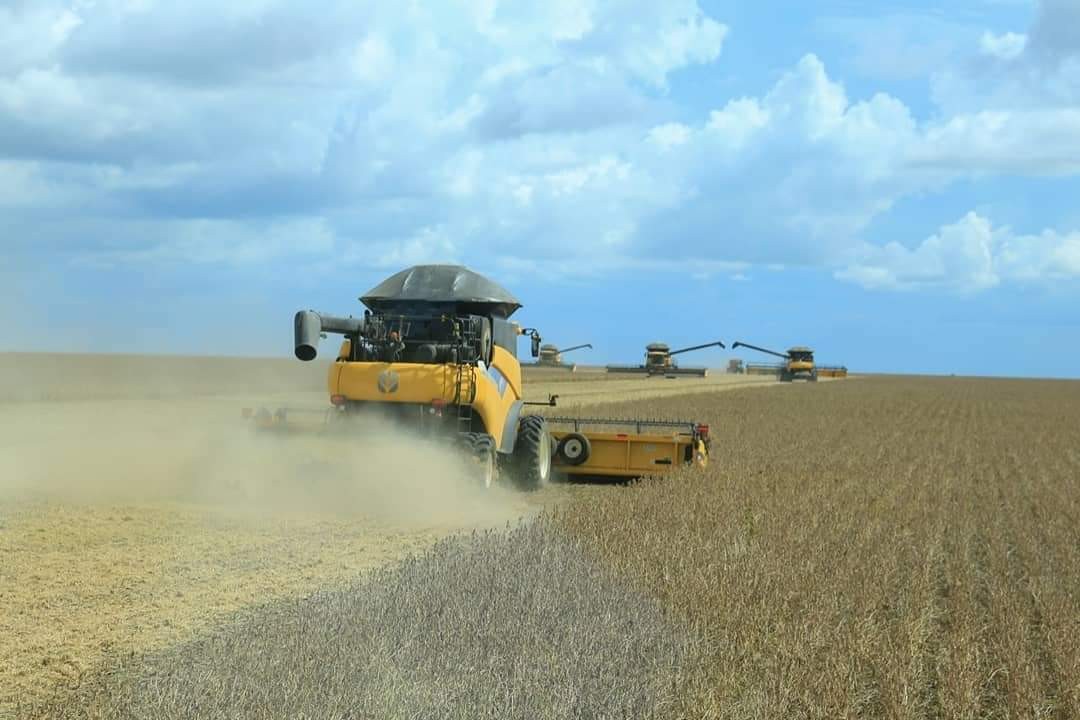Cai estimativa de produção de grãos no Piauí por falta de chuvas; 'segundo ano seguido de queda', prevê IBGE