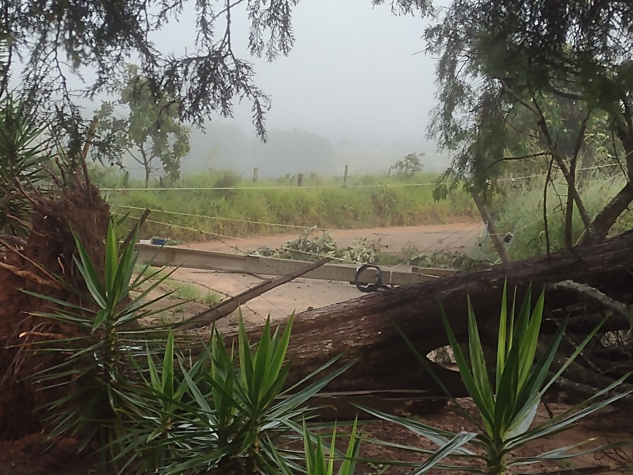 Chuva derruba árvores, danifica postes e moradores ficam sem energia elétrica em Itapetininga