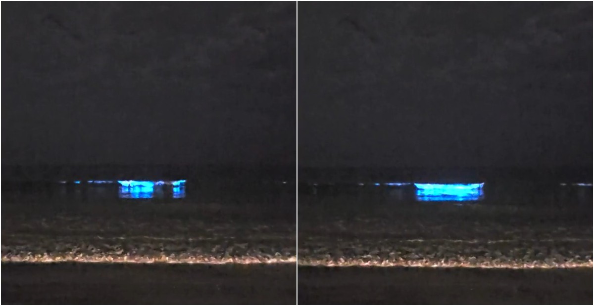 VÍDEO: ondas do mar brilham em azul neon em fenômeno registrado no litoral de SC; conheça