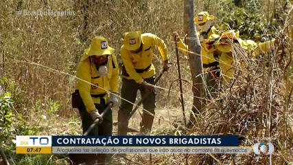 Araguaína abre seleção para brigadistas; saiba como participar