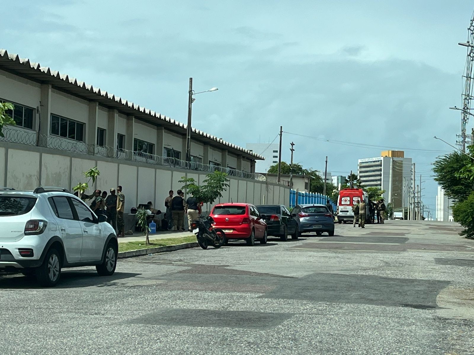 Ataque de abelhas deixa feridos em evento de airsoft na Zona Sul de Aracaju
